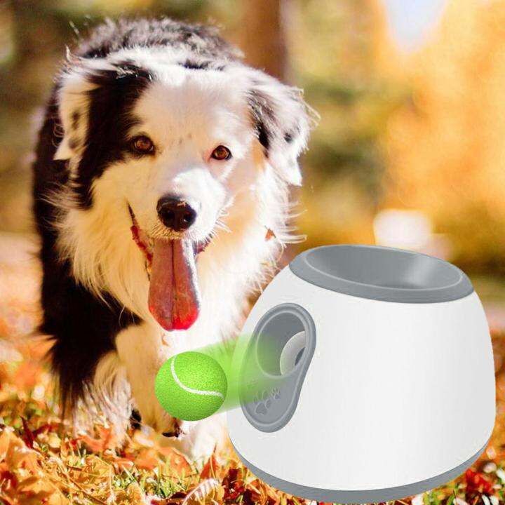 Miusue Dog Automatic Ball Launcher 3 Balls Included Training Ball