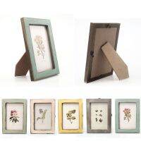 Frames Vintage Photos Colors