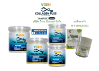 VGEN Collagen Plus Tripeptide Type2&amp;3 วีเจนคอลลาเจนพลัสไตรเปบไทด์ไทพ2&amp;3 กระปุก 150กรัม 2 กระปุก 50กรัม 2ระปุกฟรี วีเจนไวทเทนนิ่งพลัสครีม1#Collagenplus