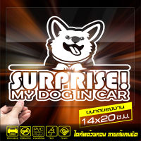 สติ๊กเกอร์ติดรถ SURPRISE DOG IN CAR สำหรับ คนรักน้องหมา รหัส 07-07 ขนาด 14x20ซ.ม.