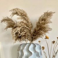 Real big Dried Pampas Grass party Wedding Flower Bunch Natural Plants Home Decor wheat Phragmites Golden ball diy mothers day