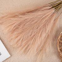 【cw】 1PCS Pampas Reed Wedding Decoration Bedroom Accessories Guide Photo PropBackground