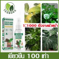 YEGBONG พลังเขียว (SUPERGREEN)30ML ทำให้พืชใบเขียว สูตรเขียวทน เขียวนาน ฟื้นต้นโทรมทันที โตไวใบเขียว เร่งต้น เร่งดอก เร่งราก ฟื้นฟูต้นโทรม สเปรย์ต้นไม้ ปุ๋ยกะท่อม เร่งแตกยอด แตกใบใหม่ บำรุงต้น น้ำยาเร่งใบเขีย