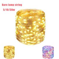 【LZ】 5/10/30M LED String Lights Copper Silver Wire Garland Light Waterproof Fairy Lights For Christmas Wedding Party Decoration