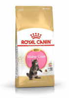 แบ่งขาย Royal Canin Maine Coon Kitten 1 กก. สำหรับ แมวเด็ก พันธุ์ เมนคูน