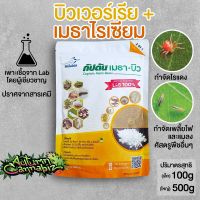 บิวเวอร์เรีย + เมธาไรเซียม เชื้อราดี ชนิดผง 100กรัม (Metharisium &amp; Beauveria) กำจัดไรแดง เพลี้ย และแมลง ปลอดภัย 100%