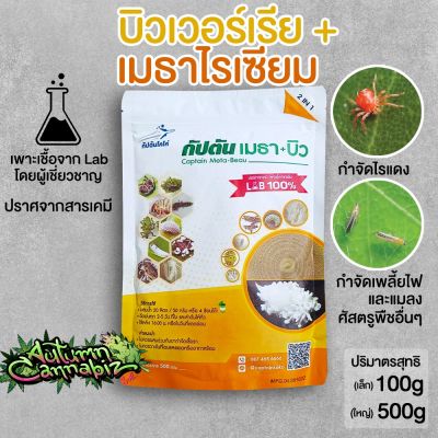 [ ส่งฟรี ] บิวเวอร์เรีย + เมธาไรเซียม เชื้อราดี ชนิดผง 100กรัม (Metharisium &amp; Beauveria) กำจัดไรแดง เพลี้ย และแมลง ปลอดภัย 100%