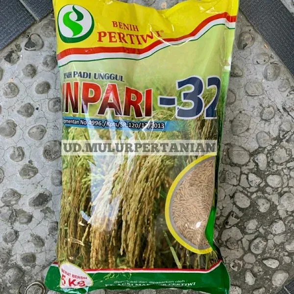 Benih Padi Unggul Inpari Dari Benih Pertiwi Isi Kg Lazada Indonesia