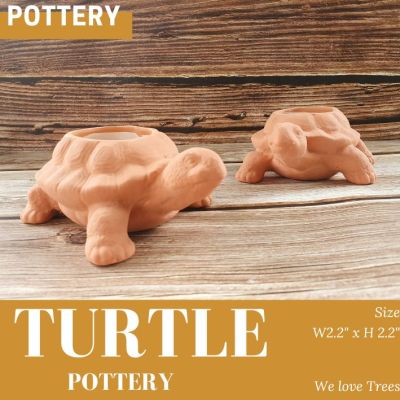 กระถางดินเผา ทรงเต่า (Turtle Pottery)