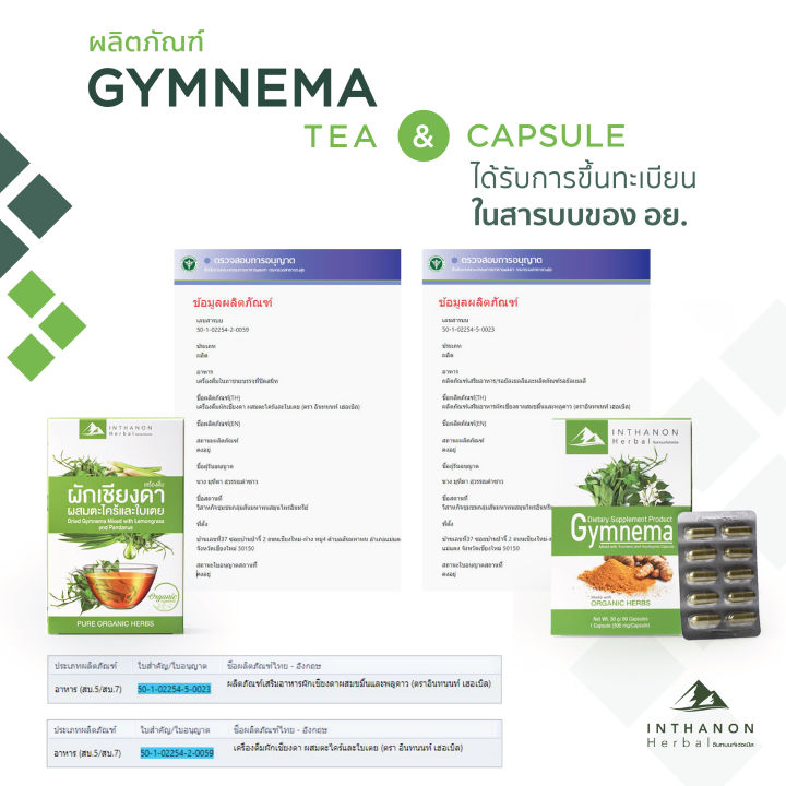 gymnema-tea-จิมเนม่า-ชาชง-ชาสมุนไพรออร์แกนิกจากธรรมชาติ-เหมาะสำหรับผู้ป่วยเบาหวาน-ช่วยลดน้ำตาลในเลือด-dried-gymnema-mixed-with-lemongrass-and-pandanus