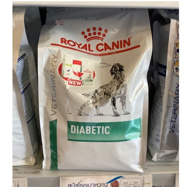 royal-canin-สูตร-diabetic-อาหารเม็ดสุนัขเบาหวาน