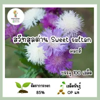 เมล็ดพันธุ์ สวีทสุลต่าน คละสี 100เมล็ด