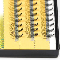 Grafting World Eyelashes 10D ขนตาแต่ละรัสเซีย Volume Eyelash Premade Fan False Mink Eyelash Mkae Up Tool