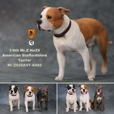 Mr.Z 1/6 American Staffordshire Terrier Dog Pet Figure Animal Model Decor Toy Desktop Ornaments For Children Adult Kid Xmas Gift