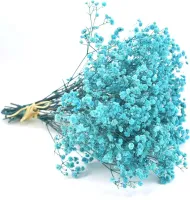 Light Blue Babys Breath Dried Flowers for Vase Arrangements, Home Decor, Parties, Weddings, DIY Crafts,outdoor decorwall decor