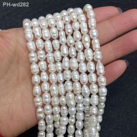 Natural Freshwater Pearls High Quality for Jewelry Making Rice Shape Loose Beads Ladies Fashion Necklace Bracelet Accessories