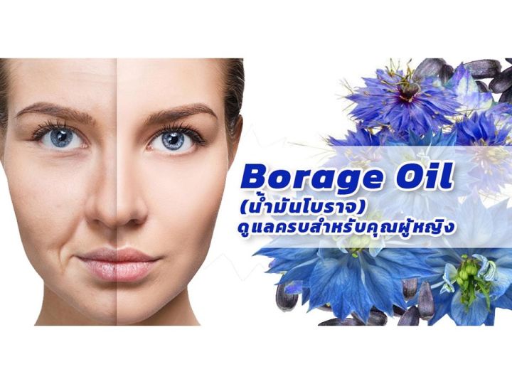 springmate-borage-oil-30-softgels-น้ำมันโบราจ-1000-mg-30-นำเข้าจากusa