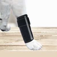 Hot sell Dog Injurie Leg Knee Brace Strap Dog Fracture Fixation Splint Protect Joint Leg Guards Lying Hoof O-Leg Correction Cat Sprain