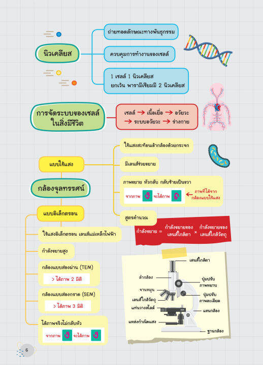 inspal-หนังสือ-super-easy-memory-note-วิทย์-ระดับ-ป-4-5-6-เรียนก็เข้าใจ-สอบยิ่งง่ายเลย