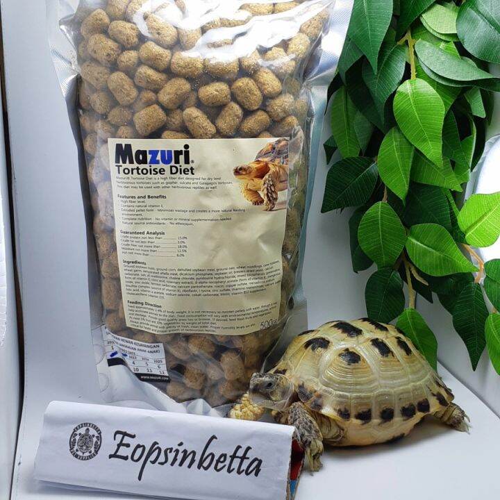 MAZURI TORTOISE DIET 500 GR PELLET PAKAN MAKANAN KURA KURA DARAT ...