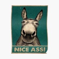 Donkey Nice Ass Poster - Funny Vintage ภาพวาดพิมพ์ Art Decor สำหรับ Home Room Wall Mural (ไม่มีกรอบ)