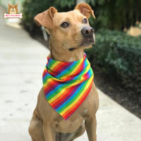 BP【ready Stock】Pet Triangle Scarf Comfortable Breathable Dog Rainbow Bandanas Saliva Towel Handkerchief Party SuppliesCOD【cod】