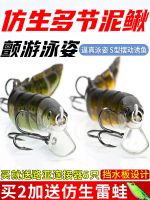 Bionic Multi-Section Loach Luya Fake Bait Micro-Object Long-Range Freshwater Sea Fishing Cocked Mouth Mandarin Fish Perch Special