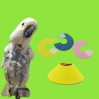 ♟┅✤ Pet Bird Collar for Plucking Parrot Anti-Bite Recovery Collar Protective Neck Circle for Budgies Prevent Feather Scratch Y5GB