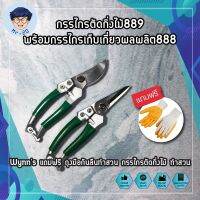 กรรไกรตัดกิ่งไม้889 พร้อมกรรไกรเก็บเกี่ยวผลผลิต888 Wynns แถมฟรี ถุงมือกันลืนทำสวน กรรไกรตัดกิ่งไม้ ทำสวน