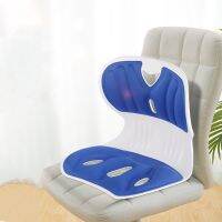 ✹ New Memory Foam Classroom Waist Cushions for Students and Children Orthostatic Chair Pillow Sample Office Lumbar Seat Pad