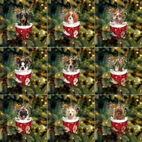 Cute Dog Christmas Tree Decoration Dog Socks Christmas Party Pendant Decorations Holiday Gifts Z1J3