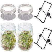 NIGHT PU ปากกว้างเพื่อสุขภาพพร้อมขาตั้งอินทรีย์ Sprouter การงอกฝาครอบ Mason Jars Sprouting Jar Kit