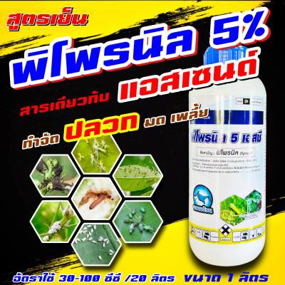 พิโพรนิล ฉลาม 1 ลิตร 💥ยาฆ่าแมลง แอสเซนด์ กำจัดปลวกตายยกรัง ป้องกันปลวก เห็บ หมัด มด แมลงสาป แมลงคลาน ยาฆ่าปลวก ยากำจัดปลวก