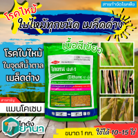 ? ไดเทน เอ็นที-จี(เขียว) (แมนโคเซบ) ขนาด 1กิโลกรัม ป้องกันกำจัดโรคที่มีสาเหตุจากเชื้อรา