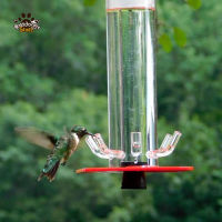 แขวน Hummingbird Feeder โปร่งใสยาวหลอด Bird Feeder กล่องอาหาร Bird อุปกรณ์เสริมสำหรับกลางแจ้ง