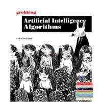 How can I help you? Grokking Artificial Intelligence Algorithms (Paperback + Pass Code)