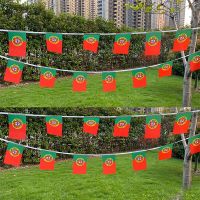 Aerlxemrbrae  20pcs/lot  Portugal bunting flags 14x21cm  Pennant   Portugal  String Banner Buntings Festival Party Holiday Pipe Fittings Accessories