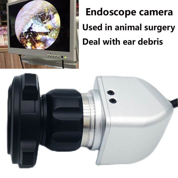 Animal Hospital Veterinary Endoscope Camera Portable Veterinary