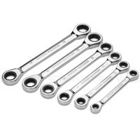 Double Head Ring Ratchet Wrench 8/9/10/11/12/13/14/15/16/17/18/19mm Chrome Vanadium Steel Ratchet Spanner Set Auto Repair Tools