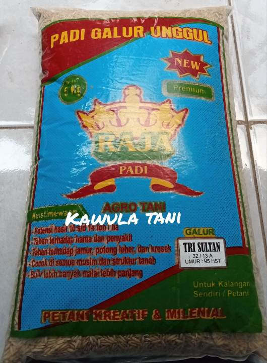 Benih Padi Trisultan Kemasan 5kg Premium 