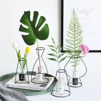 Retro Iron Line Flowers Vase Metal Plant Holder Modern Solid Home Geometric Glass Test Tube Metal Plant Holder Modern Home Decor