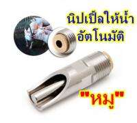 นิปเปิ้ลให้น้ำหมูอัตโนมัติ สแตนเลส ฝาปิดทองเหลือง (20mm.)