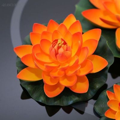 เมล็ดบัว 5 เมล็ด ดอกสีส้ม ดอกใหญ่ ของแท้ 100% เมล็ดพันธุ์บัวดอกบัว ปลูกบัว เม็ดบัว สวนบัว บัวอ่าง Lotus seeds.