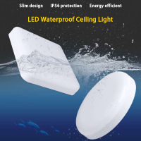 Butterfly Board Ceiling Light 30W Balcony Human Body Led Induction Lamp IP56 High Brightness Moisture Proof Ultra Thin Fixture