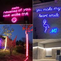 AC220V Neon LED Strip High Brightness Flexible Indoor Outdoor Wall Lamp Waterproof With EU Plug Night Decorative Garden Light