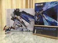 MG 1/100 STRIKE FREEDOM +SETปีกแสง Strike freedom (Daban)