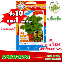 (ซื้อ10แถม1) เมล็ดพันธุ์ เรดซอเรล Red Veined Sorrel ประมาณ 250เมล็ด 3A สามเอ ผักสวนครัว เมล็ดพันธุ์พืช เมล็ดผัก เม็ดผัก พืชผัก