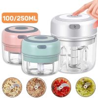 【CW】 Electric Garlic Masher Press 100/250ml Meat Grinder Vegetable USB Charging Food Cutter Cut Crusher Tools