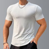 Summer muscle fitness male arc hem t-shirts with short sleeves quick-drying round neck movement render unlined upper garment of cultivate ones morality play high coat