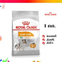 ?จัดส่งฟรี Royal Canin Mini Coat Care 1kg อาหารเม็ดสุนัขโต พันธุ์เล็ก ดูแลสุขภาพเส้นขน อายุ 10 เดือนขึ้นไป เก็บเงินปลายทาง ✨